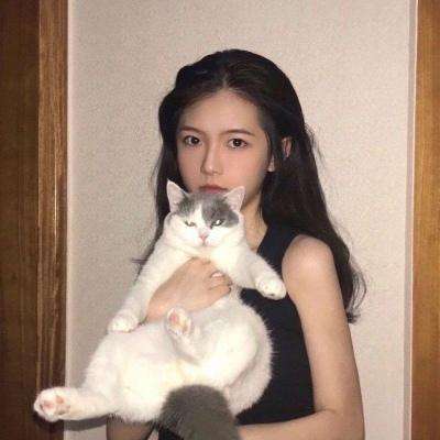 黄金矿工的故事破解版下载